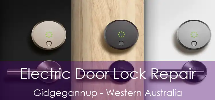 Electric Door Lock Repair Gidgegannup - Western Australia