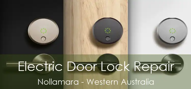 Electric Door Lock Repair Nollamara - Western Australia
