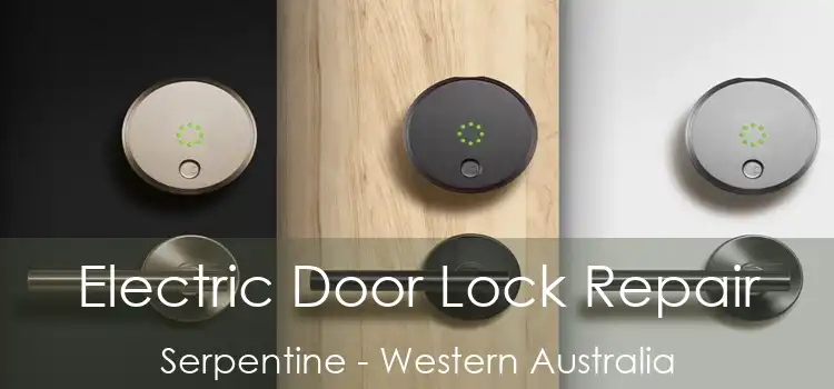 Electric Door Lock Repair Serpentine - Western Australia