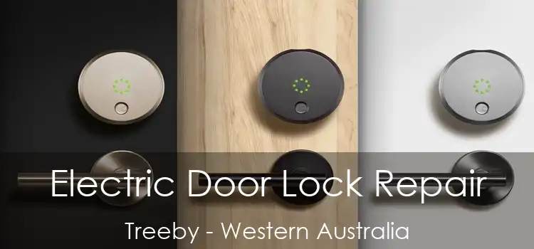 Electric Door Lock Repair Treeby - Western Australia