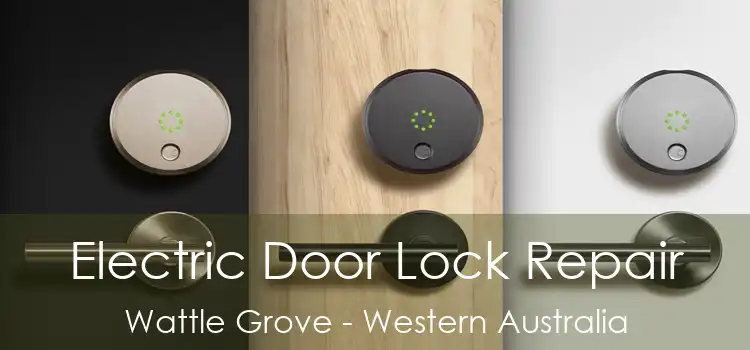Electric Door Lock Repair Wattle Grove - Western Australia