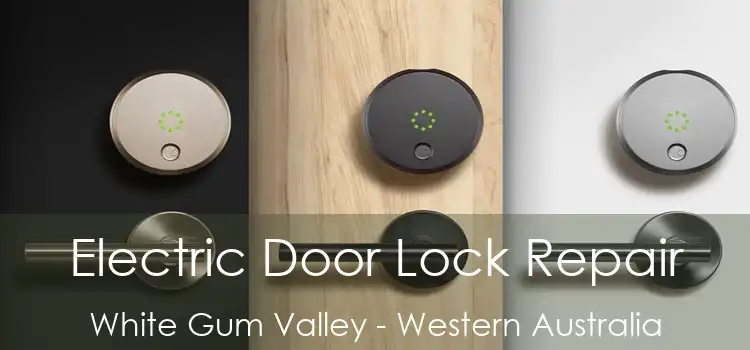 Electric Door Lock Repair White Gum Valley - Western Australia