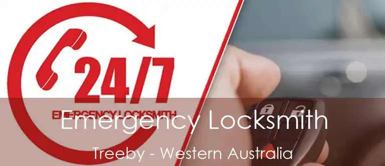 Emergency Locksmith Treeby - Western Australia