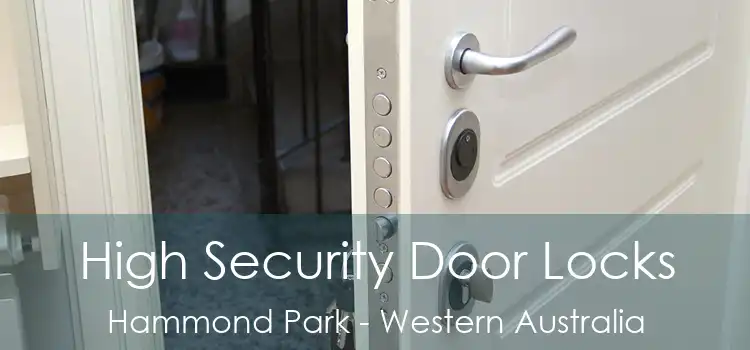High Security Door Locks Hammond Park - Western Australia