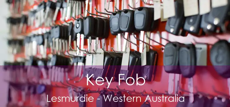 Key Fob Lesmurdie - Western Australia