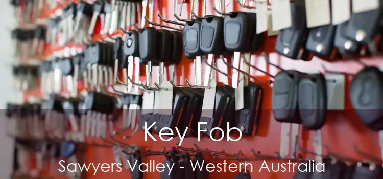 Key Fob Sawyers Valley - Western Australia