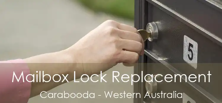 Mailbox Lock Replacement Carabooda - Western Australia