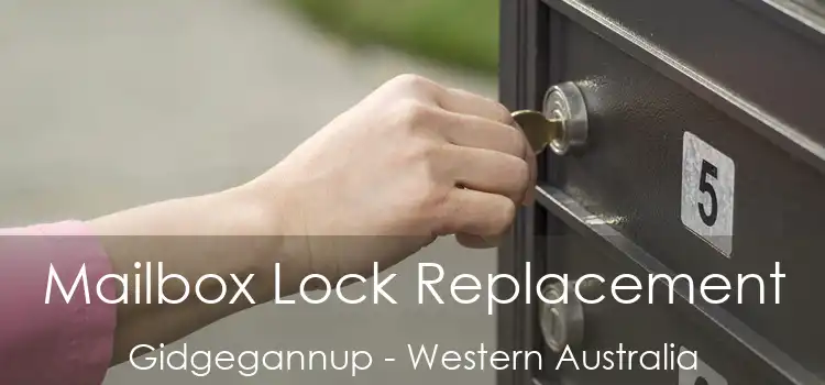 Mailbox Lock Replacement Gidgegannup - Western Australia