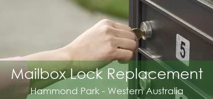 Mailbox Lock Replacement Hammond Park - Western Australia