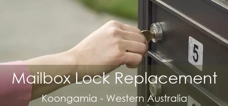 Mailbox Lock Replacement Koongamia - Western Australia