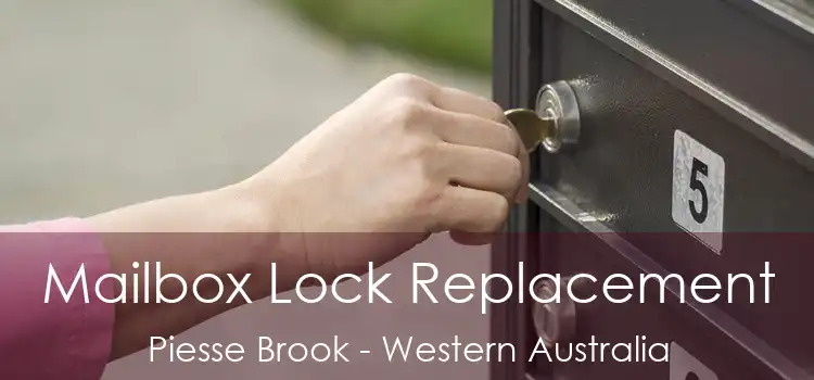 Mailbox Lock Replacement Piesse Brook - Western Australia