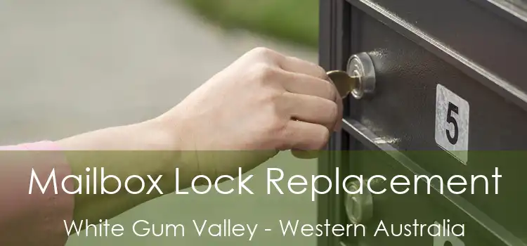 Mailbox Lock Replacement White Gum Valley - Western Australia