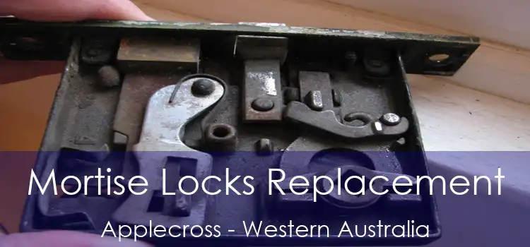 Mortise Locks Replacement Applecross - Western Australia
