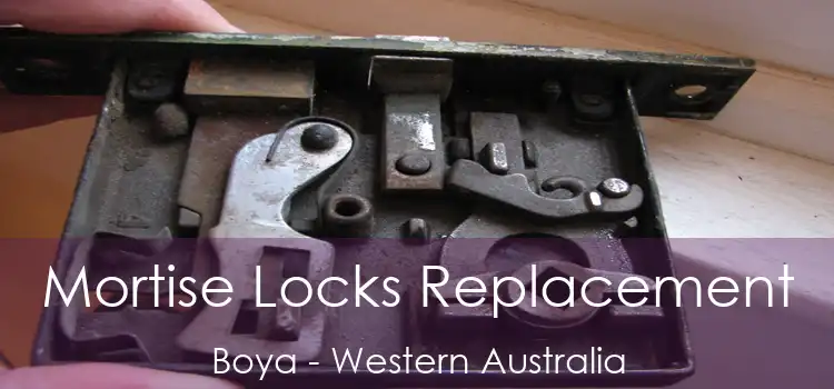 Mortise Locks Replacement Boya - Western Australia
