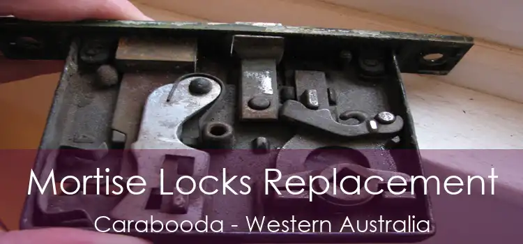 Mortise Locks Replacement Carabooda - Western Australia