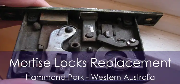 Mortise Locks Replacement Hammond Park - Western Australia