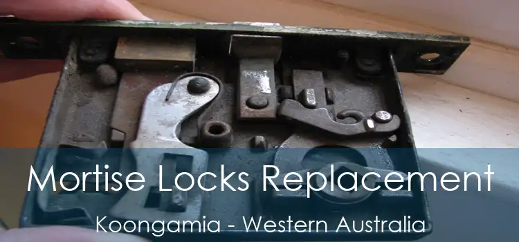 Mortise Locks Replacement Koongamia - Western Australia