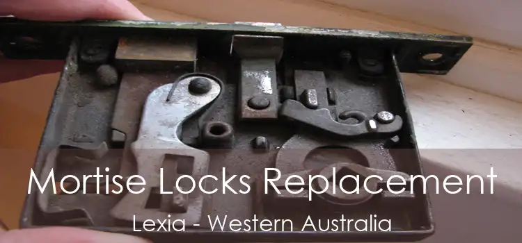 Mortise Locks Replacement Lexia - Western Australia