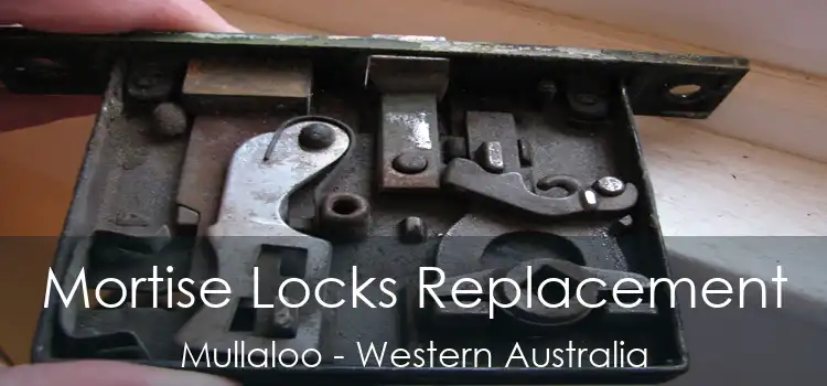 Mortise Locks Replacement Mullaloo - Western Australia