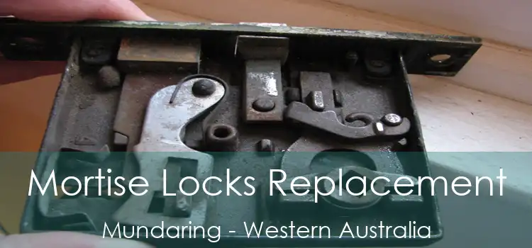 Mortise Locks Replacement Mundaring - Western Australia