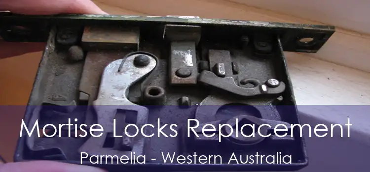 Mortise Locks Replacement Parmelia - Western Australia