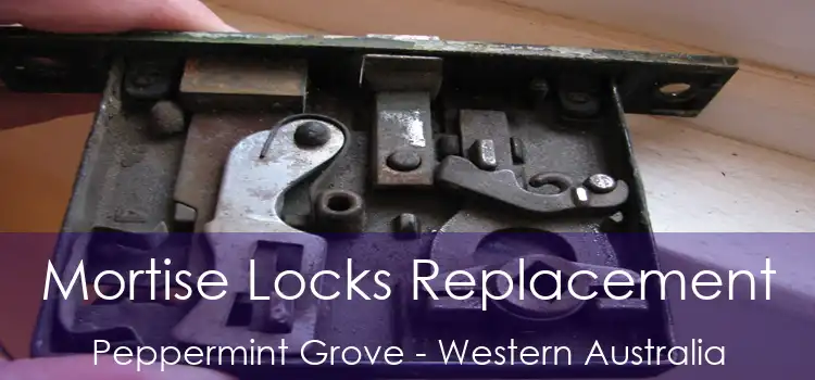 Mortise Locks Replacement Peppermint Grove - Western Australia