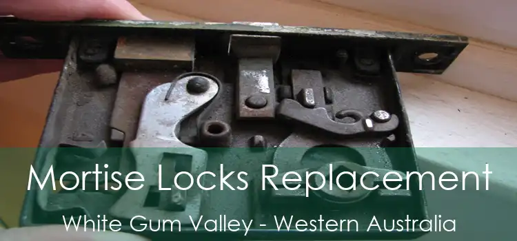 Mortise Locks Replacement White Gum Valley - Western Australia