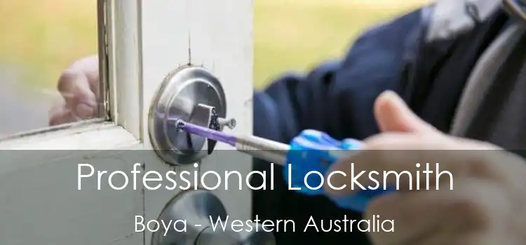 Professional Locksmith Boya - Western Australia