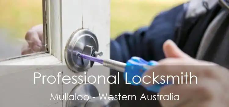 Professional Locksmith Mullaloo - Western Australia