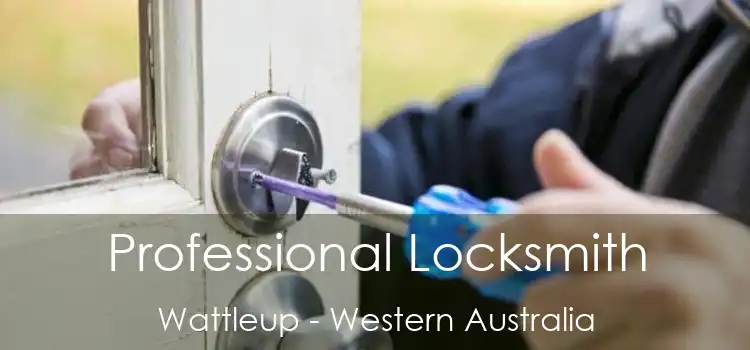 Professional Locksmith Wattleup - Western Australia