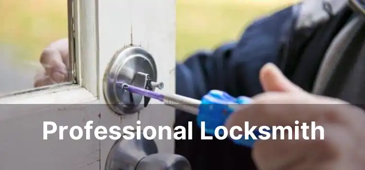 Professional Locksmith