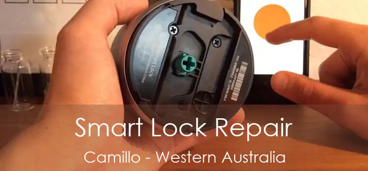 Smart Lock Repair Camillo - Western Australia