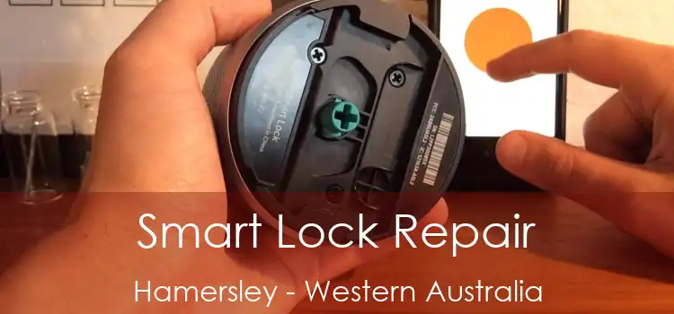 Smart Lock Repair Hamersley - Western Australia
