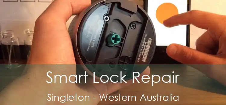 Smart Lock Repair Singleton - Western Australia