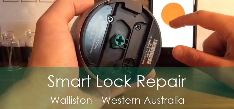 Smart Lock Repair Walliston - Western Australia