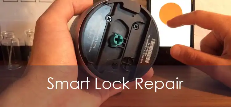 Smart Lock Repair