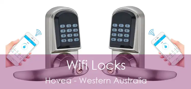 Wifi Locks Hovea - Western Australia